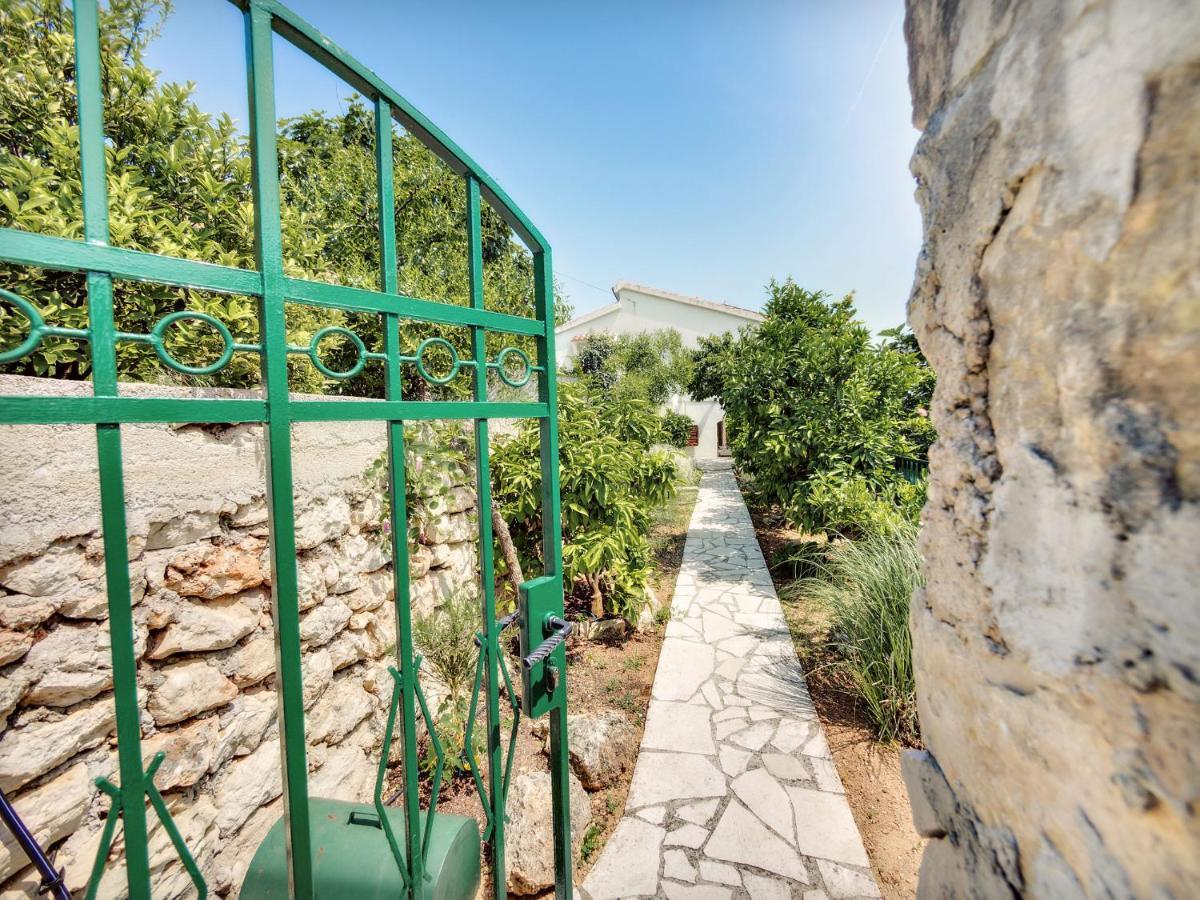 Apartmani Ela Prvić Luka Dış mekan fotoğraf